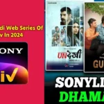 Upcoming Hindi Web Series Of Sonyliv In 2024